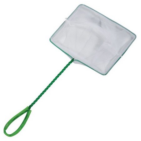 Rede Para Isca Viva Ragot Verde