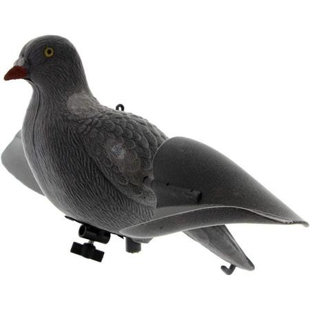 Richiamante Europ Arm Pigeon Ailes Tournantes