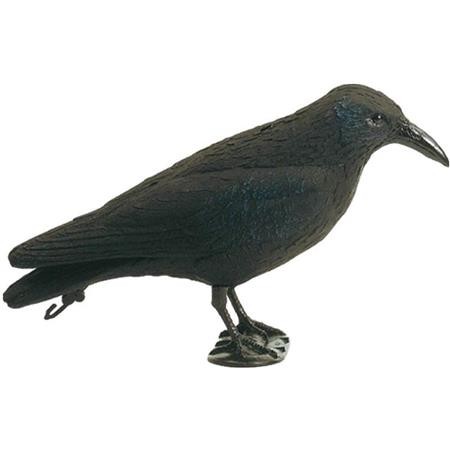 Richiamo Europ Arm Corbeau