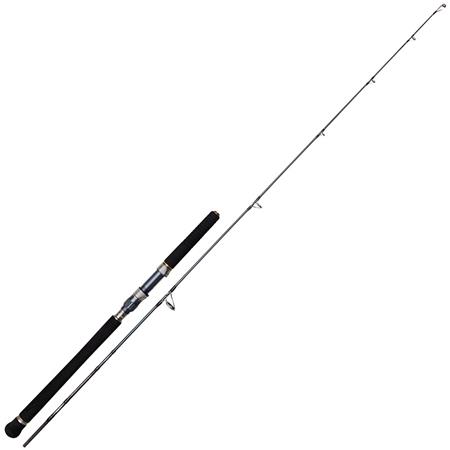 Rute Penn Battalion Solid Jigging Spinning Rod
