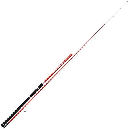 Rute Tenryu Tango Tai