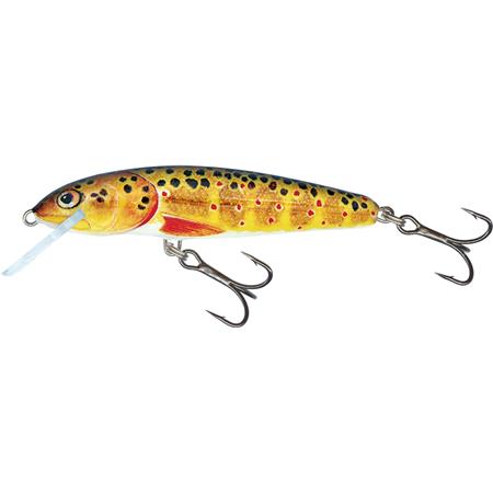 Sænkende Agn Salmo Minnow - 6Cm