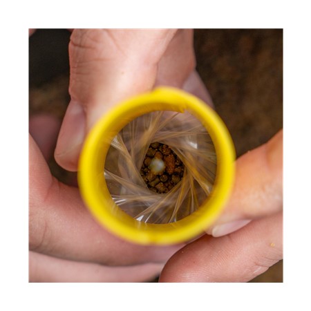 SAC SOLUBLE AVID CARP TRANSFER SOLID BAG SYSTEM
