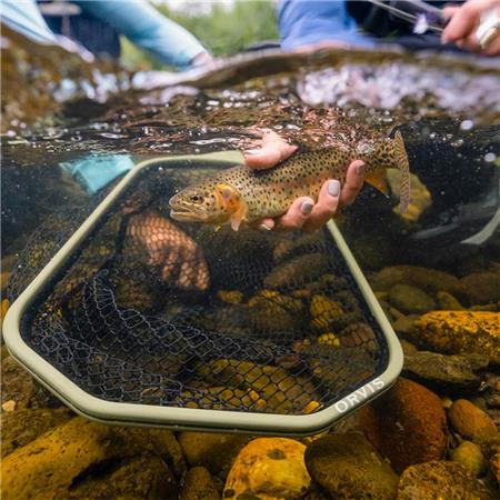 ΣΑΚΟΎΛΑ ΡΑΚΈΤΑ ORVIS WIDE MOUTH GUIDE NET DUSTY OLIVE