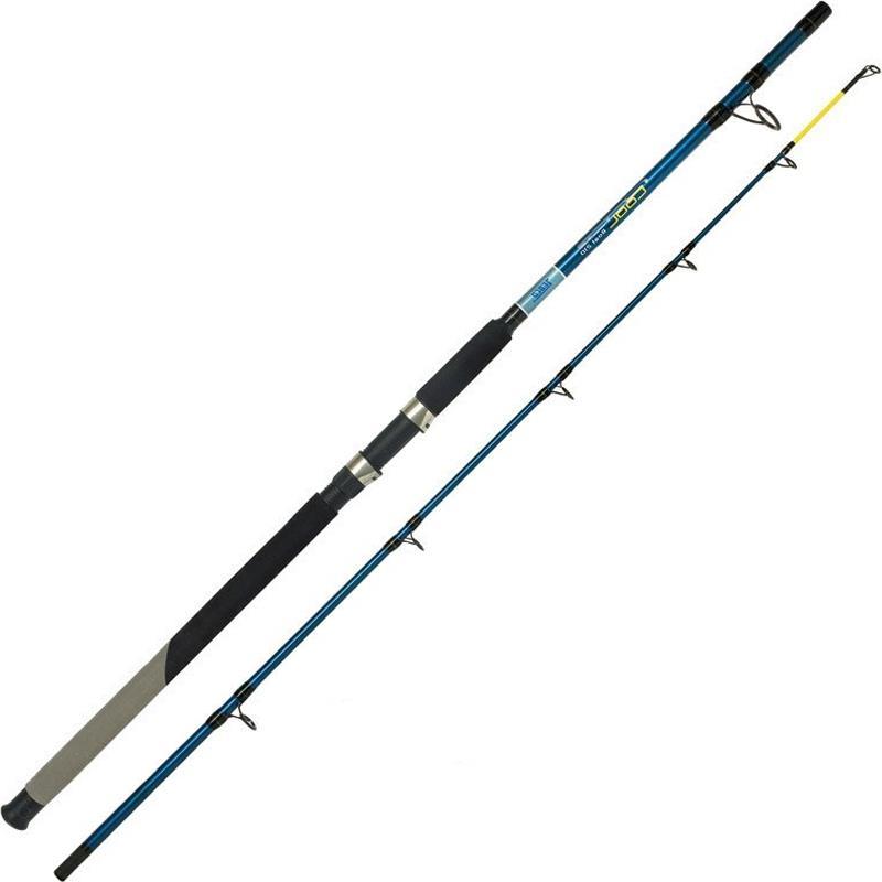 Saltwater Rod Zebco Cool Boat   Heavy Boat