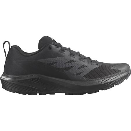 Sapatos Baixos Homem Salomon Sense Ride 5 Sr