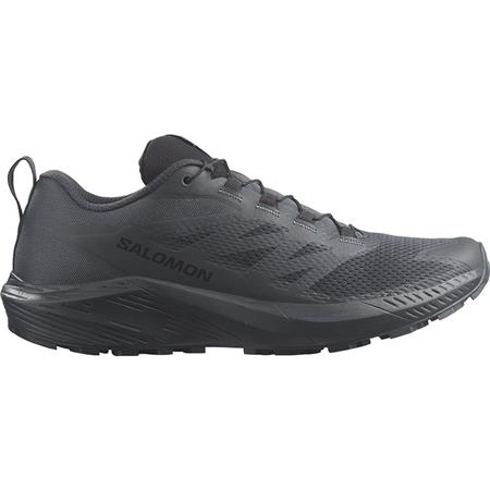 Sapatos Baixos Homem Salomon Sense Ride 5 Sr