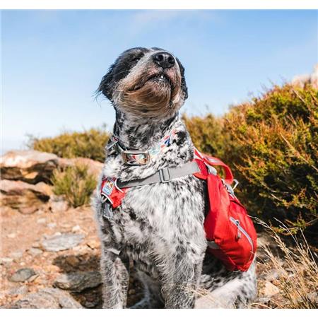 SCHLÄGERTASCHE KURGO BAXTER