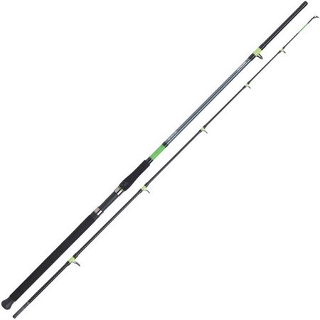 Sea Rod Daiwa Sensor Boat