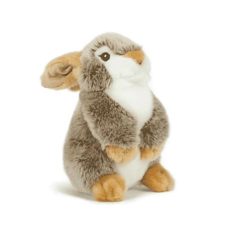 Seated Brown Rabbit Nature De Brenne