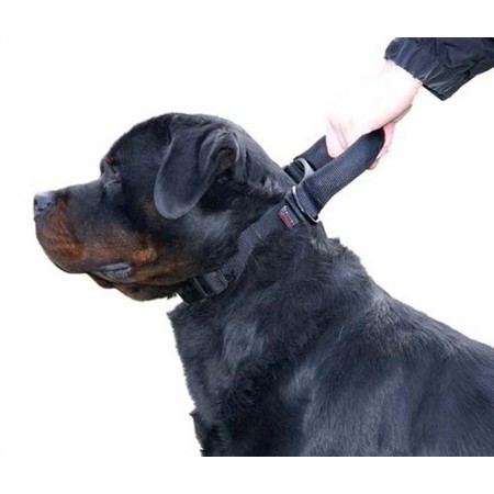 Security Adjustable Dog Collar Martin Sellier Intervention