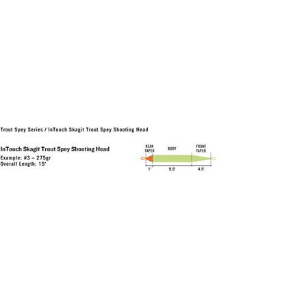 SEDA MOSCA RIO INTOUCH TROUT SPEY SKAGIT SHOOTING HEAD
