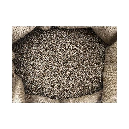 SEED POSEIDON PARTICLES CHÈNEVIS GROS