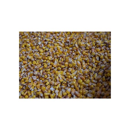 SEED POSEIDON PARTICLES MAÏS