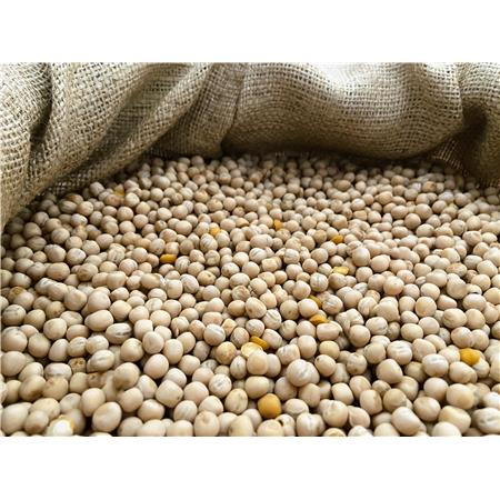 Seed Poseidon Particles Pois