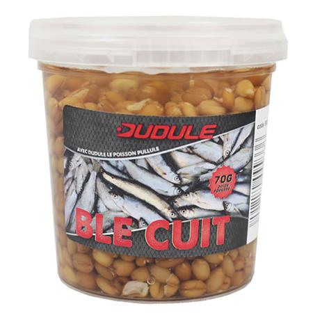 Semente Cozida Dudule Blé Étuvé