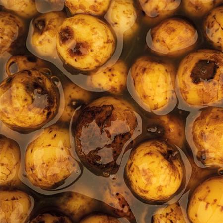 SEMENTES PREPARADA NASHBAIT SWEET TIGER NUTS