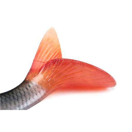SEÑUELO BLANDO ARMADO FOX RAGE ULTRA-REALISTIC ROACH REPLICANT