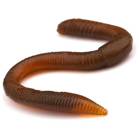 Señuelo Blando Freestyle Twitch Worm - 10.6Cm - Paquete De 8