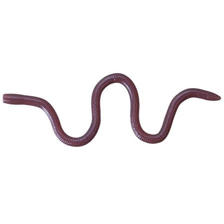 Señuelo Blando O.S.P Mimizu Small - 7Cm - Paquete De 10