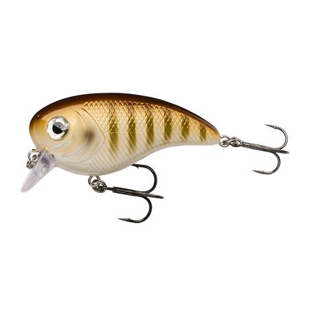 Señuelo Flotante Berkley Pulse Biggie - 6Cm
