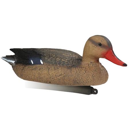 Señuelo Stepland Colvert Femelle