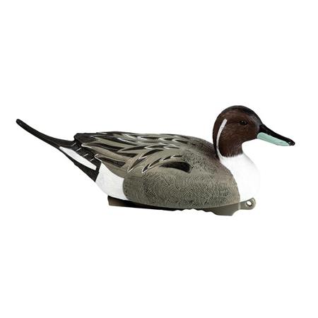 Señuelo Stepland Forme Pilet Mâle Hd