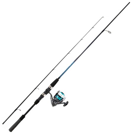 Set Daiwa Firespin