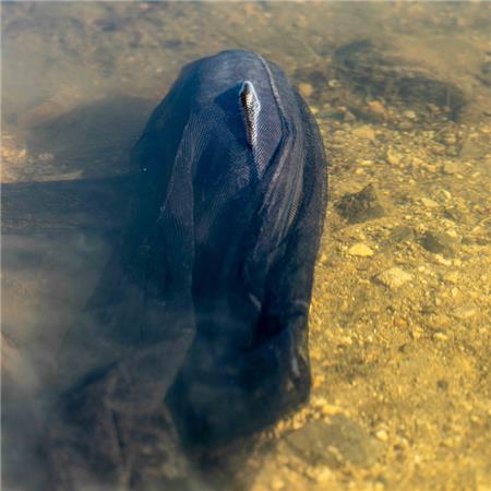 Siatka Zamienna Nash Air Force Landing Net Mesh 46”