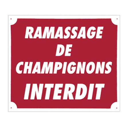 Signalisierungspanneau Europ Arm Ramassage De Champignons Interdit