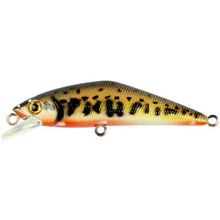 SINKING LURE - 5CM SMITH D-CONTACT FES