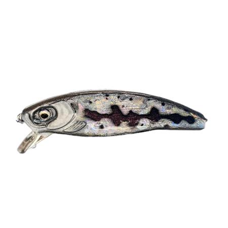 Sinking Lure Pyrénées Leurres & Co Sleepeur - 5Cm