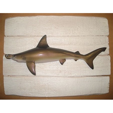 Skulptur Halb-Rumpf Cap Vert Requin Marteau