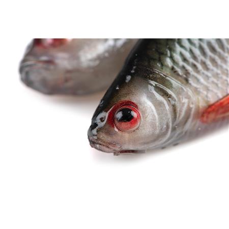 SOFT BAIT FOX RAGE ULTRA NATURAL ROACH