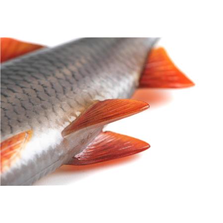 SOFT BAIT FOX RAGE ULTRA NATURAL ROACH