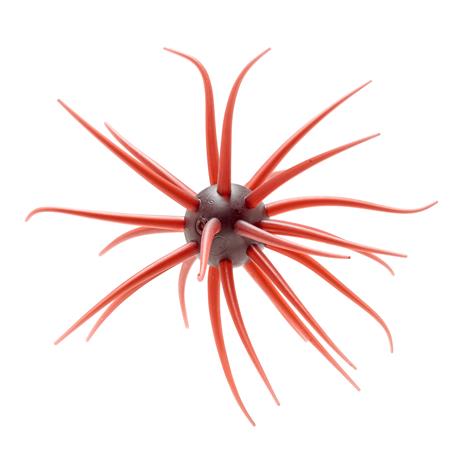Softbait Hide Up Coike Fullcast - 2.3Cm