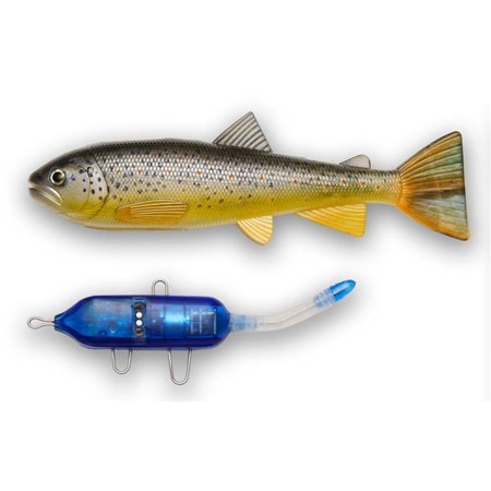 Softbait Pulzbait Starter Kit - 15Cm