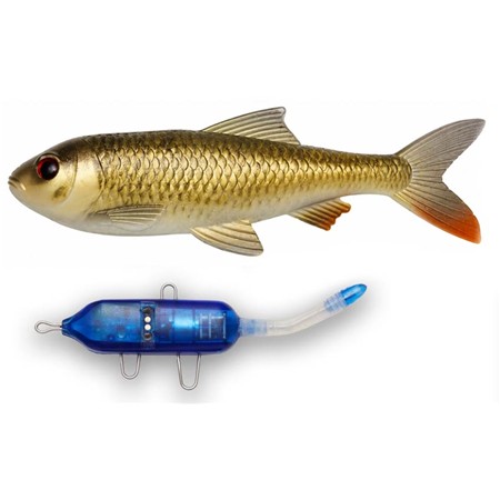 Softbait Pulzbait Starter Kit - 20Cm