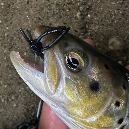 SOFTBAIT TOPPIES WASPIUS - 2.4CM - PAKKE MED 8