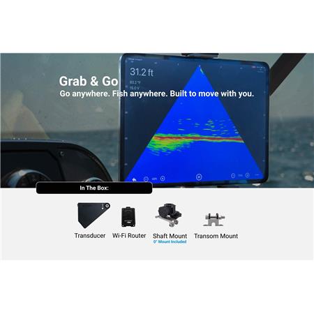 SONDE ACCUPHY LIVE PINGLIVE MINI