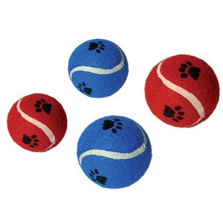 Spielzeug Tennisball Für Hund