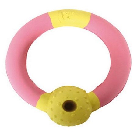 Spiky Ring Dog Toy