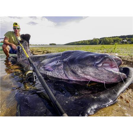 SPINHENGEL BLACK CAT BLACK PASSION G2 SPIN