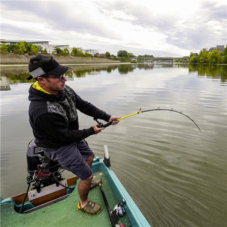 SPINHENGEL BLACK CAT BLACK PASSION G2 VERTICAL