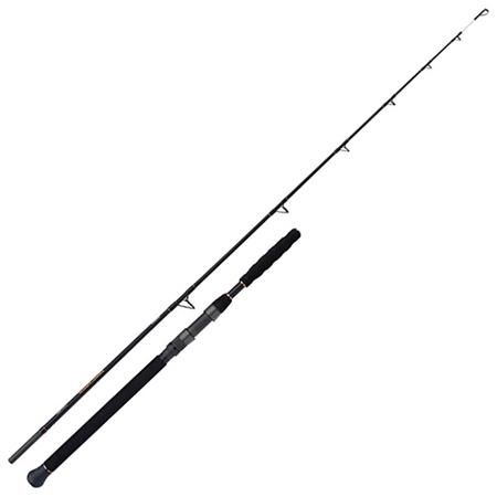 Spinning Hengel Shimano Beastmaster Catfish Vertical