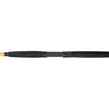 SPINNING ROD BLACK CAT BLACK PASSION G2 BANK
