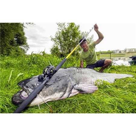 SPINNING ROD BLACK CAT BLACK PASSION G2 VERTICAL