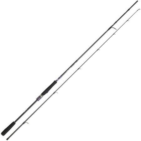 Spinning Rod Daiwa Prorex Ags Spinning