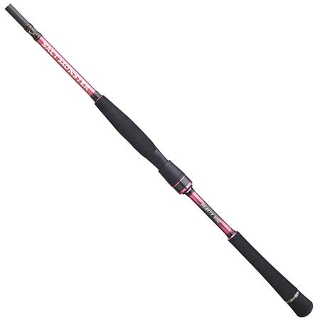 SPINNING ROD HEARTY RISE SALT MONSTER SW