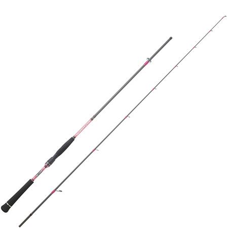 Spinning Rod Hearty Rise Salt Monster Sw